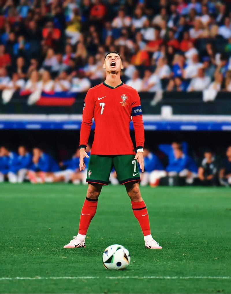 会参与到体 会参与到体